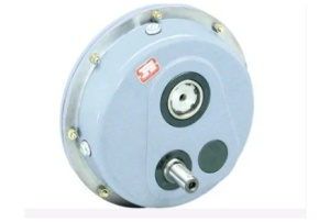 shaft mounted Gearmotor - Image 3