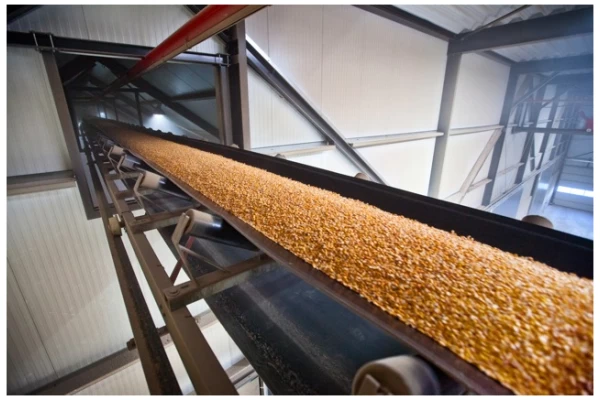 Flat rubber conveyor belt - Image 2